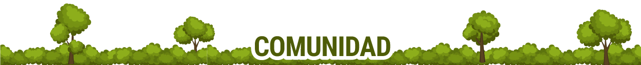 Comunidad Comunidad